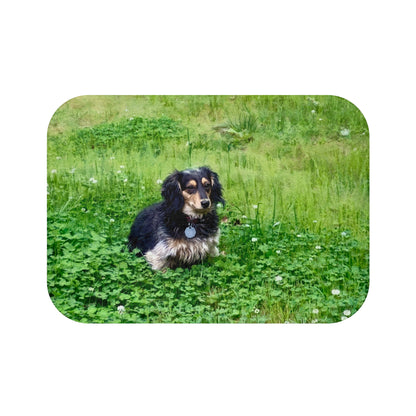 Custom Watercolor Pet Portrait Bath Rug Mat